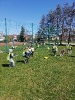 Chciałbym być sportowcem gr 2 2022