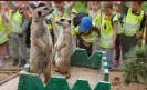 Gr I LEMUR PARK 2022_22