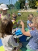 Piknik w gr. IV