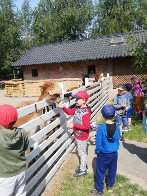 Wycieczka do gospodarstwa gr 3 2023_9